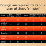 خشک کن و بوگیر هوشمند 3 جفت کفش shoes dryer - Image 17