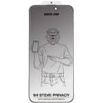گلس پرایوسی آیفون 16 پلاس و 15 پلاس گرین لاین Green Lion مدل Steve - Image 9