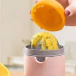 آب مرکبات گیری دستی اکوکو ECOCO مدل E1812 - Image 7