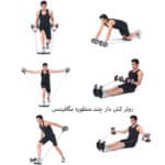 رولر کش دار چند منظوره مگافیتنس MegaFitness مدل A-72 - Image 11